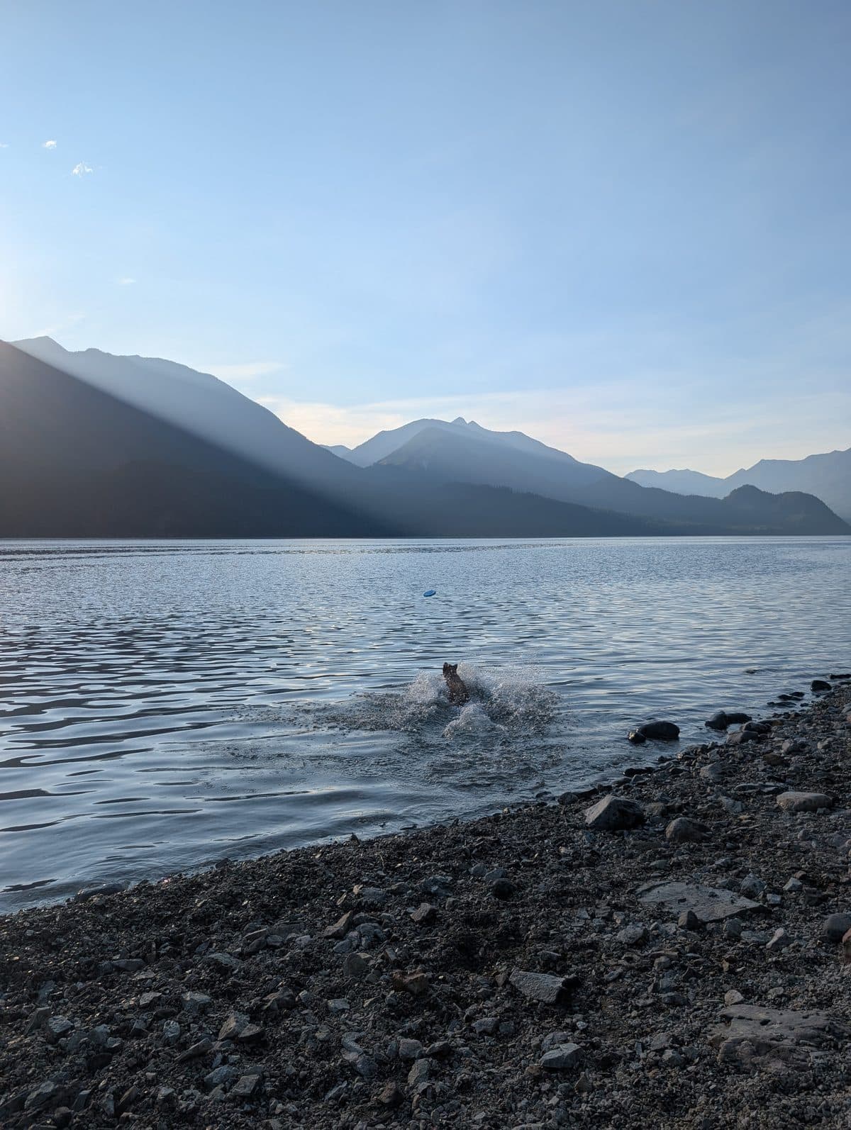 A dog swimming in a mountain lake, the original public example photo